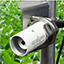 冠層溫度